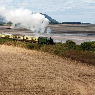 Steam Train From Garden