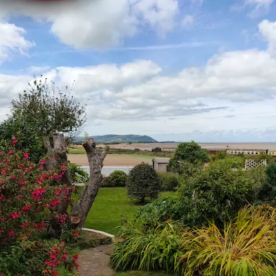 View From The Garden